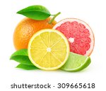 Isolated citrus fruits. pieces...
