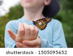 Monarch Butterfly On Child's...