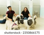 Small photo of Excited smiling woman and man working at the dog daycare or pet hotel playing with beautiful shih tzu and pug dogs
