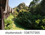 Small photo of Beatiful landscape of protected area in Andasibe FEON'NY ALA - Analamazaotra National Park, Madagascar virgin nature wilderness scene