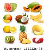 collection of exotic fruit and... | Shutterstock .eps vector #1832226475