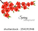 Spring Background With Blossom...