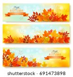 set of three nature banners... | Shutterstock .eps vector #691473898