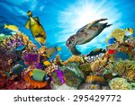 Colorful Coral Reef With Many...
