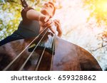 View of musician playing contrabass at the street. Musical Instrument
