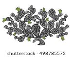 prickly pear plant | Shutterstock .eps vector #498785572