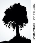 mighty lush leafy oaktree on... | Shutterstock .eps vector #1444410302