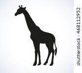 Giraffa Camelopardalis Is Even...