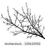 realistic tree branches... | Shutterstock .eps vector #135610502