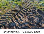 Closeup of frozen tire tracks in mud and grass.