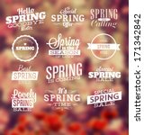 spring typographic design set | Shutterstock .eps vector #171342842