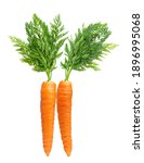 Two Carrot Isolated On White...