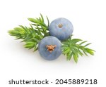 juniper berries isolated on... | Shutterstock . vector #2045889218