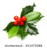 Holly Berry Leaves Christmas...