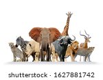 Group of african safari animals ...