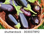 Fresh Eggplant In Basket On...