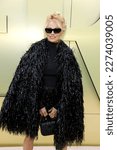 Small photo of LOS ANGELES - MAR 9: Pamela Anderson at the Versace FW23 Show at the Pacific Design Center on March 9, 2023 in West Hollywood, CA