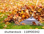 Pile of fall leaves with fan...