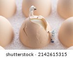 Small photo of miniature inspectors checking eggs fissure. Quality control concept.