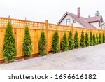 Fence built from wood. Outdoor landscape. Security and privacy concept. Vancouver. Canada.