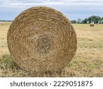 Small photo of Round hay bales are harder to handle than square bales but compress the hay more tightly.