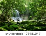 Hidden Rain Forest Waterfall...