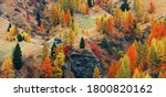 Dolomites colorful foliage in Autumn with natural landcape in North Italy