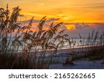 Lido Key Beach, Sarasota, Florida, USA at sunset.