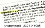 Small photo of dublin ireland november 26 2023..photo of the word liquidate
