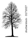 tree  vector  | Shutterstock .eps vector #3171027
