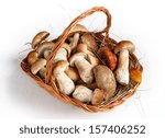 Small photo of Mushrooms in basket / studio photography of gustable edulis - on white background