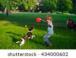 The boy plays on a lawn with dog. The boy has raised a hand with frisbee up. His beautiful brawny doggy became on hinder legs. He tries to take away a disk from the owner. Funny game.
