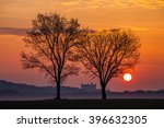 Bratislava sunrise with tree silhouettes