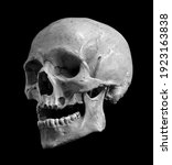 Skull of the human isolated on...