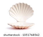 Empty Open Seashell 3d Rendering
