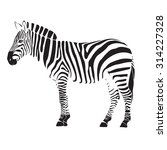zebra illustration vector on... | Shutterstock .eps vector #314227328