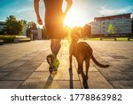 Silhouettes Of Runner And Dog...