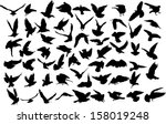 set of 60 silhouettes of birds | Shutterstock .eps vector #158019248