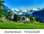 Swiss Alps with Jungfraujoch