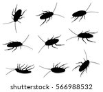 Roaches Vector Silhouette...