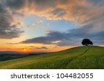 Vibrant colors of a sunset over a lone tree on a hill in Tuscany