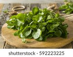 Small photo of Raw Green Organic Living Water Cress Ready to Eat