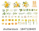 spring garden flowers  yellow... | Shutterstock .eps vector #1847128405