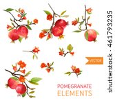 Vintage Pomegranates  Flowers...