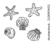 a sketch of starfish  scallop... | Shutterstock .eps vector #210095452