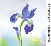 blue iris flower with bud on... | Shutterstock .eps vector #1052036735