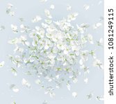 floral vector art   luxurious... | Shutterstock .eps vector #1081249115