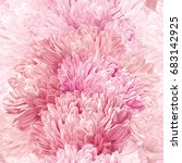 modern floral art   pink asters ... | Shutterstock .eps vector #683142925