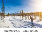 Panoramic view of male person cross-country skiing in beautiful nordic winter landscape in Scandinavia with blue sky and golden evening light at sunset, Europe