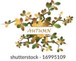 Autumn theme with leafs